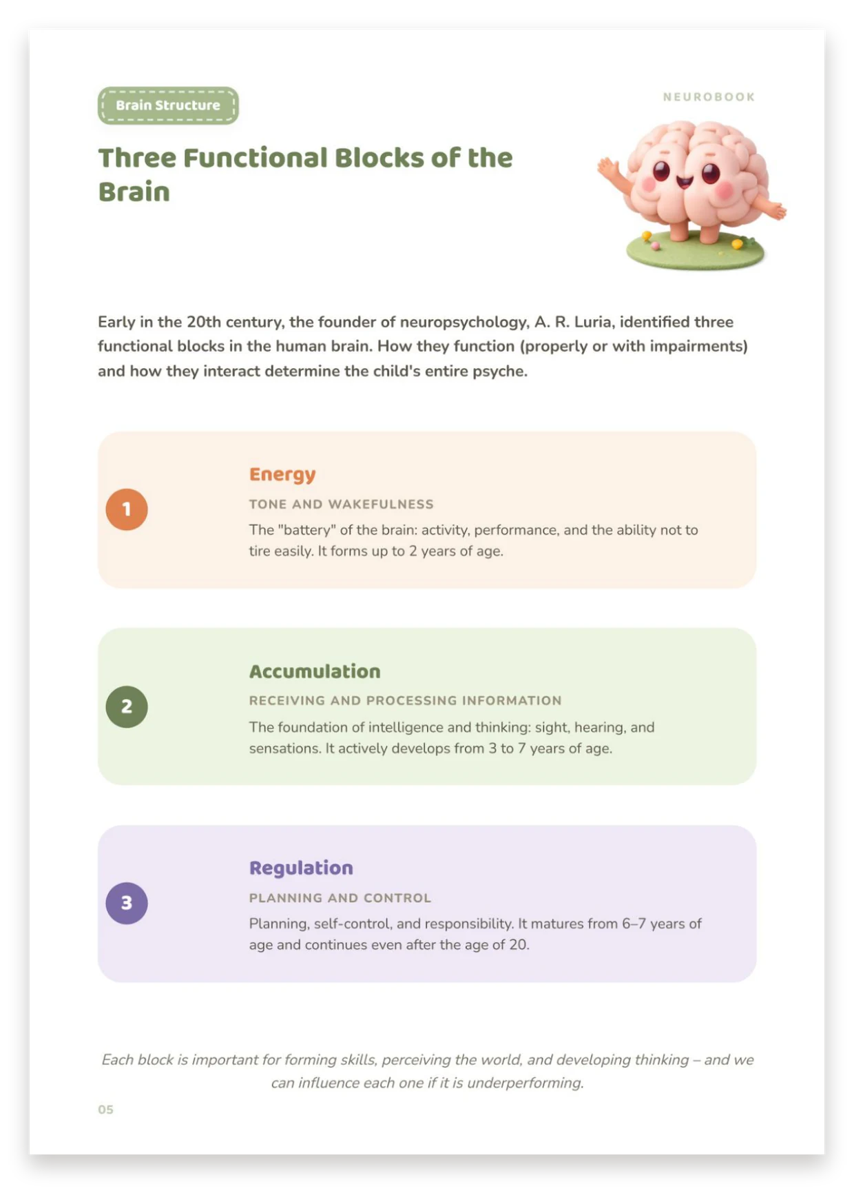 Three functional blocks of the brain