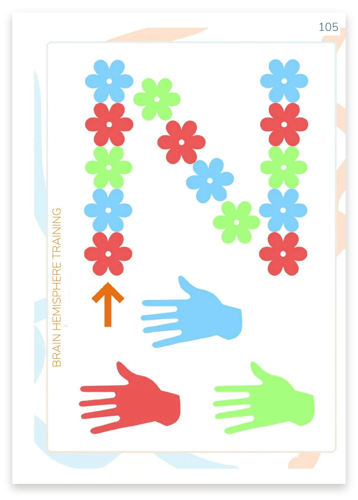 Brain hemisphere training